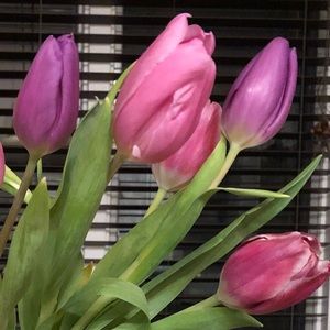 Meet your Posher, Michele